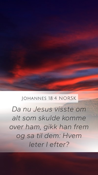 Johannes 18:4 NORSK Bible Verse Image