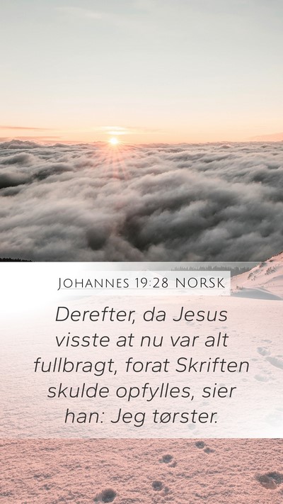 Johannes 19:28 NORSK Bible Verse Image