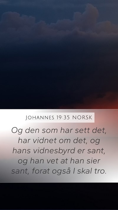 Johannes 19:35 NORSK Bible Verse Image