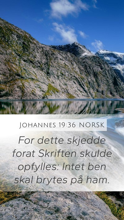 Johannes 19:36 NORSK Bible Verse Image