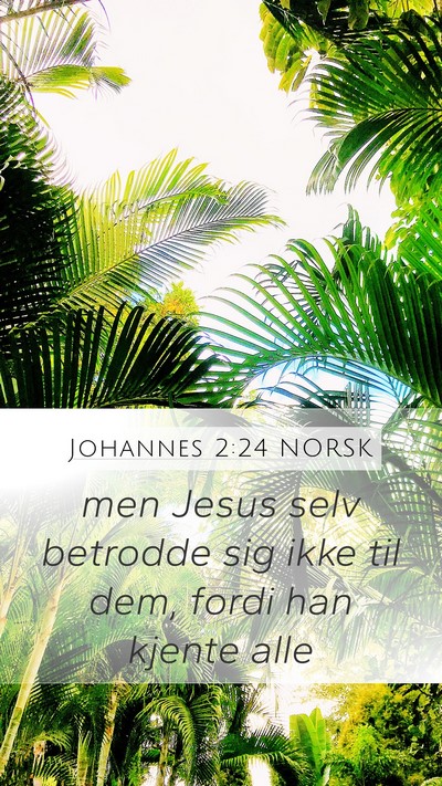 Johannes 2:24 NORSK Bible Verse Image