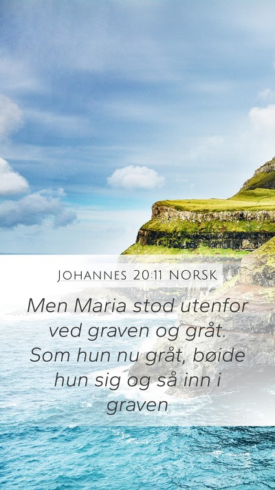 Johannes 20:11 NORSK Bible Verse Image