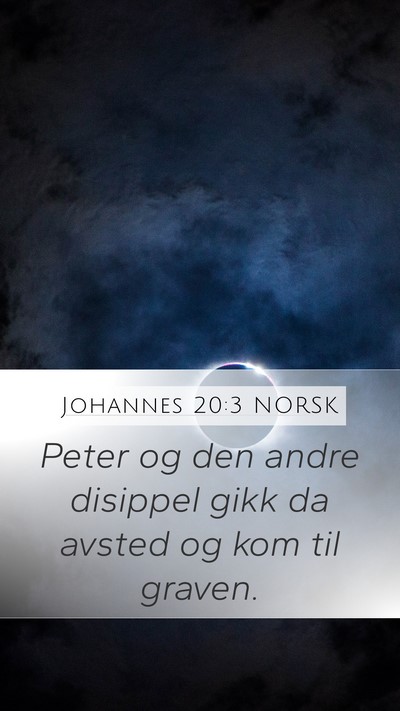 Johannes 20:3 NORSK Bible Verse Image