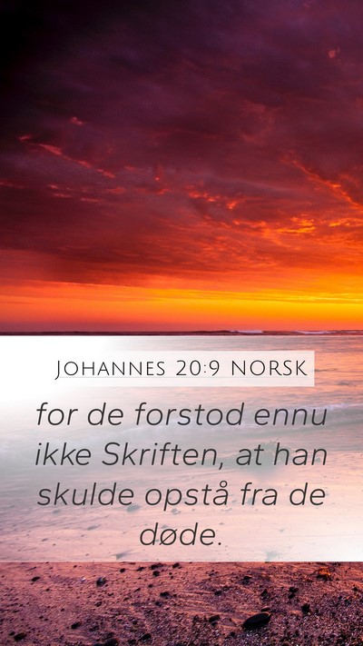 Johannes 20:9 NORSK Bible Verse Image