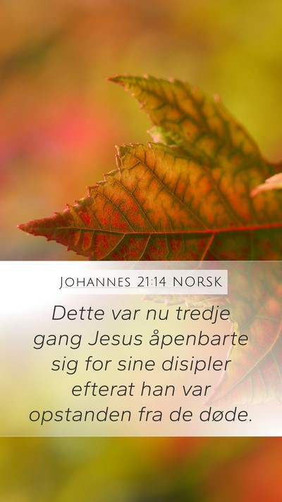 Johannes 21:14 NORSK Bible Verse Image