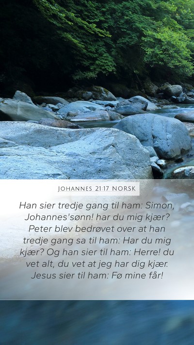 Johannes 21:17 NORSK Bible Verse Image