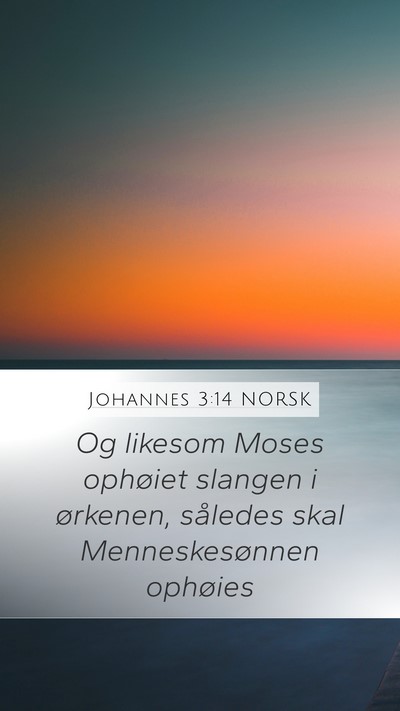 Johannes 3:14 NORSK Bible Verse Image