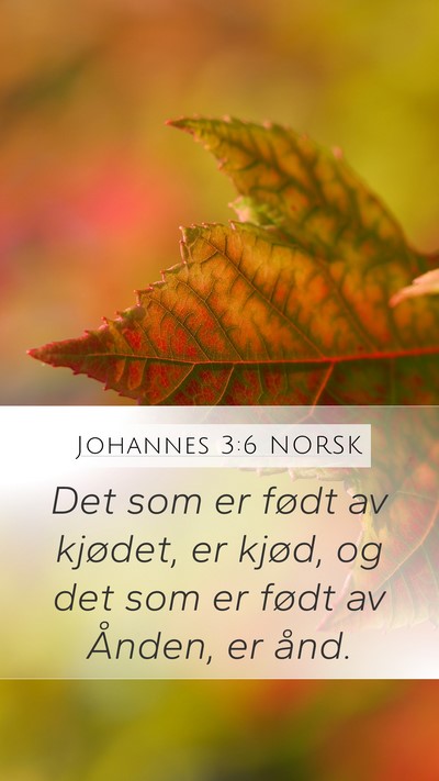 Johannes 3:6 NORSK Bible Verse Image