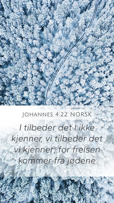 Johannes 4:22 NORSK Bible Verse Image