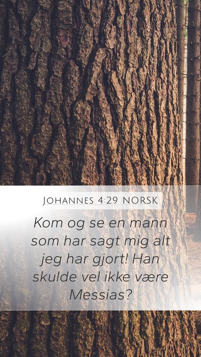Johannes 4:29 NORSK Bible Verse Image