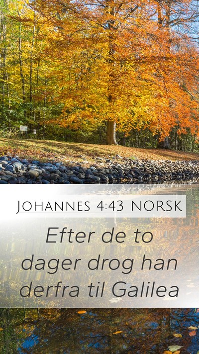 Johannes 4:43 NORSK Bible Verse Image