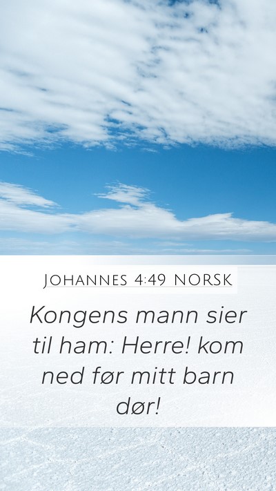 Johannes 4:49 NORSK Bible Verse Image