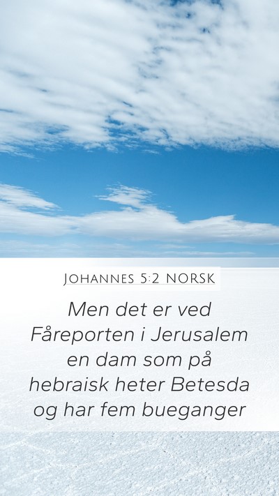 Johannes 5:2 NORSK Bible Verse Image