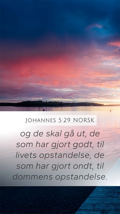 Johannes 5:29 NORSK Bible Verse Image