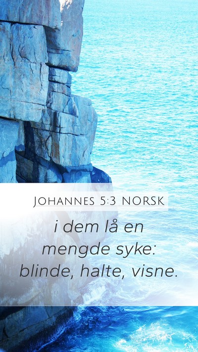 Johannes 5:3 NORSK Bible Verse Image