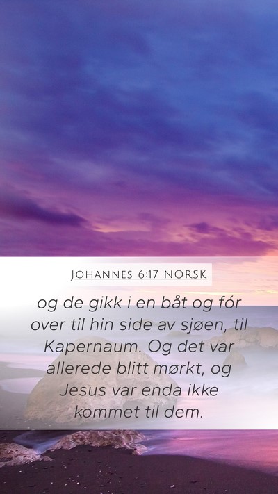 Johannes 6:17 NORSK Bible Verse Image
