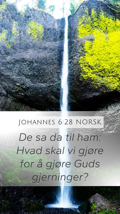 Johannes 6:28 NORSK Bible Verse Image
