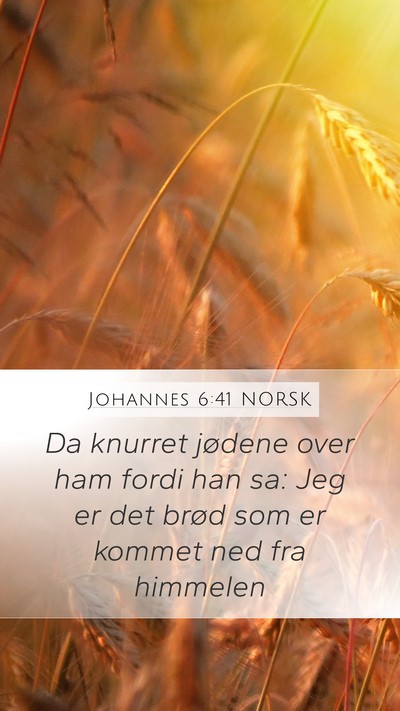 Johannes 6:41 NORSK Bible Verse Image