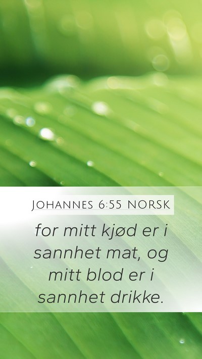 Johannes 6:55 NORSK Bible Verse Image