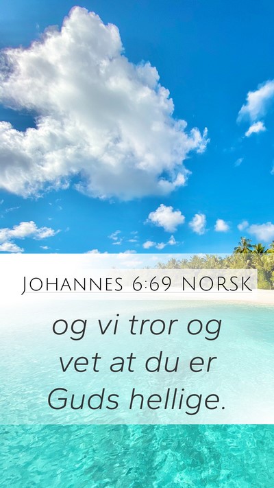 Johannes 6:69 NORSK Bible Verse Image