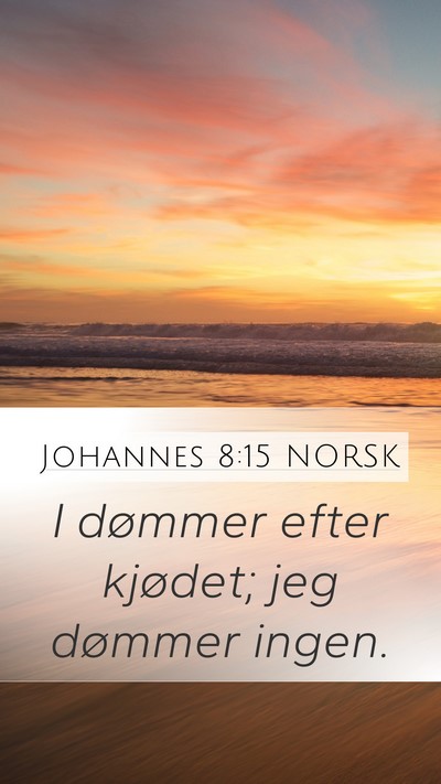 Johannes 8:15 NORSK Bible Verse Image
