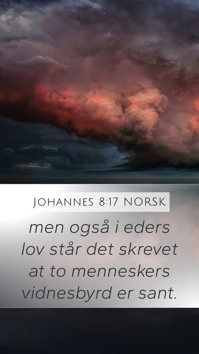 Johannes 8:17 NORSK Bible Verse Image