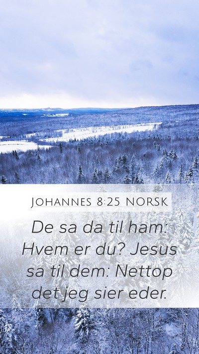 Johannes 8:25 NORSK Bible Verse Image