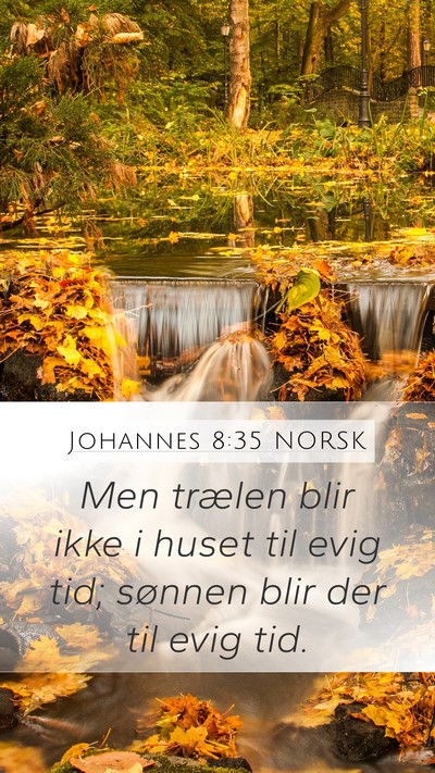 Johannes 8:35 NORSK Bible Verse Image