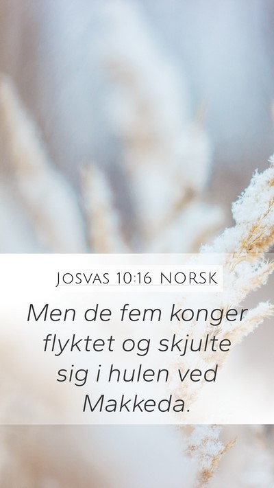 Josvas 10:16 NORSK Bible Verse Image