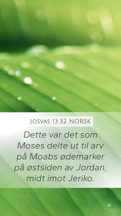 Josvas 13:32 NORSK Bible Verse Image