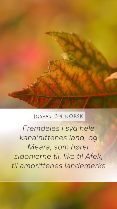 Josvas 13:4 NORSK Mobile Phone Wallpaper - Fremdeles i syd hele kana'nittenes land, og - Mobile Bible Verse Wallpaper