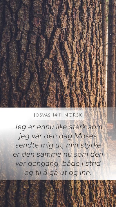 Josvas 14:11 NORSK Mobile Phone Wallpaper - Jeg er ennu like sterk som jeg var den dag Moses - Mobile Bible Verse Wallpaper