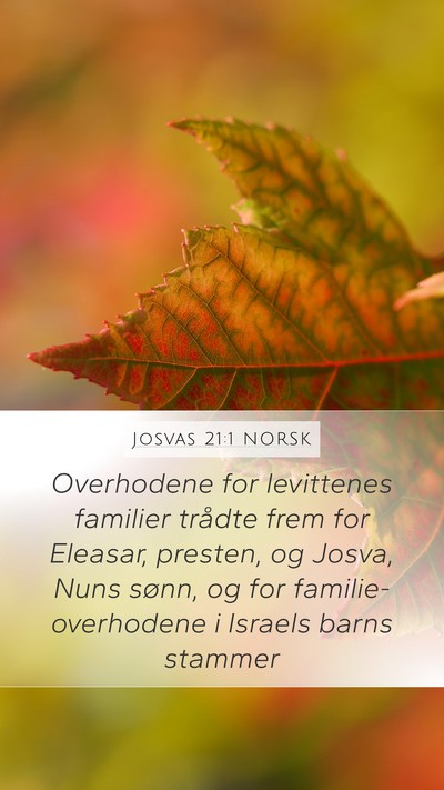 Josvas 21:1 NORSK Bible Verse Image
