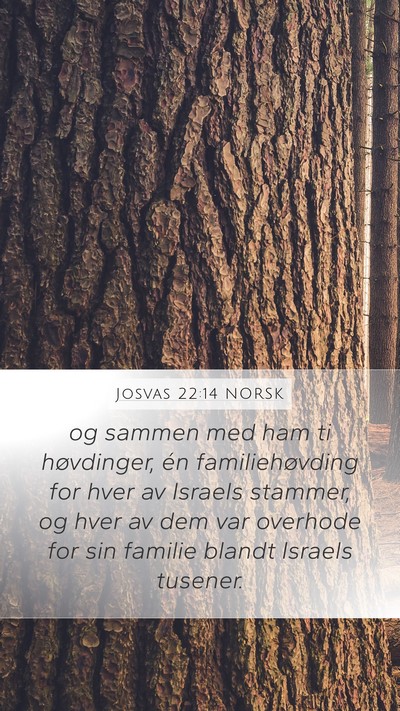 Josvas 22:14 NORSK Bible Verse Image