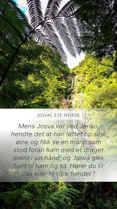 Josvas 5:13 NORSK Bible Verse Image