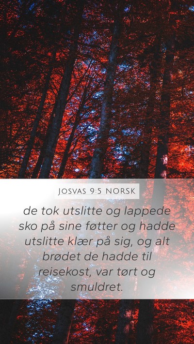 Josvas 9:5 NORSK Mobile Phone Wallpaper - de tok utslitte og lappede sko på sine føtter - Mobile Bible Verse Wallpaper