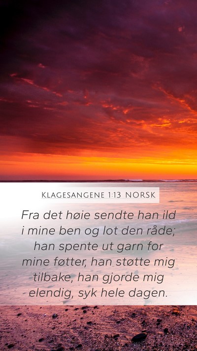 Klagesangene 1:13 NORSK Bible Verse Image