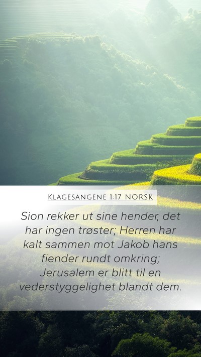 Klagesangene 1:17 NORSK Bible Verse Image