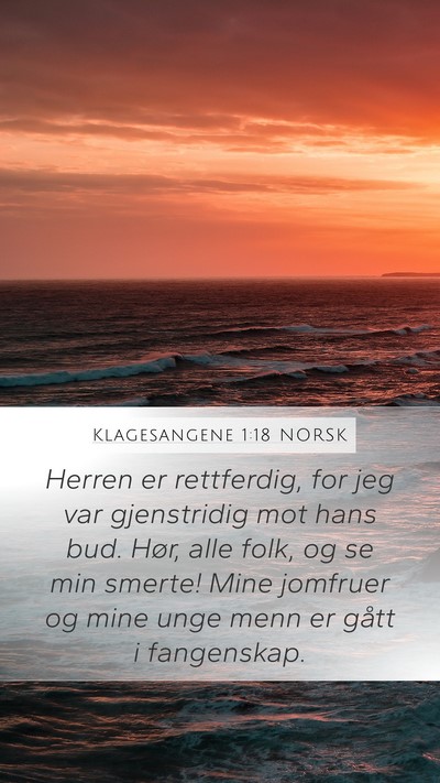 Klagesangene 1:18 NORSK Bible Verse Image