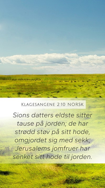 Klagesangene 2:10 NORSK Bible Verse Image