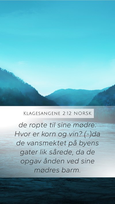 Klagesangene 2:12 NORSK Bible Verse Image