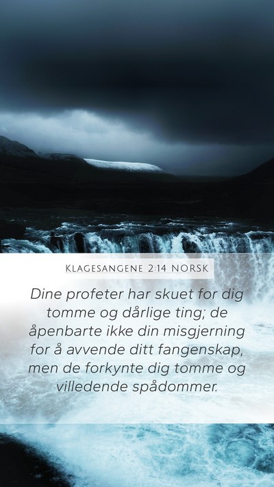 Klagesangene 2:14 NORSK Bible Verse Image