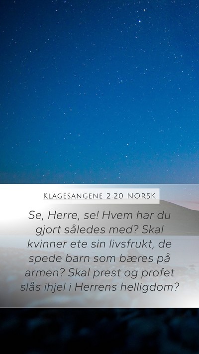 Klagesangene 2:20 NORSK Bible Verse Image