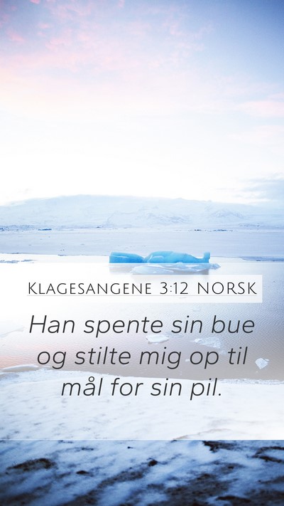 Klagesangene 3:12 NORSK Bible Verse Image