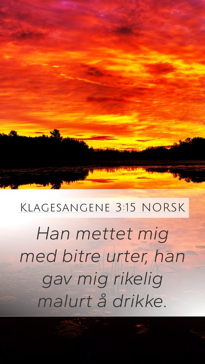 Klagesangene 3:15 NORSK Bible Verse Image