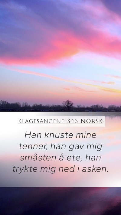 Klagesangene 3:16 NORSK Mobile Phone Wallpaper - Han knuste mine tenner, han gav mig småsten å - Mobile Bible Verse Wallpaper