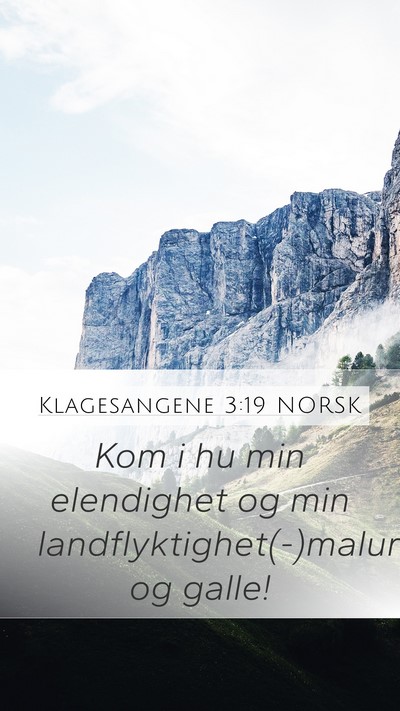 Klagesangene 3:19 NORSK Bible Verse Image
