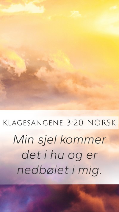 Klagesangene 3:20 NORSK Bible Verse Image