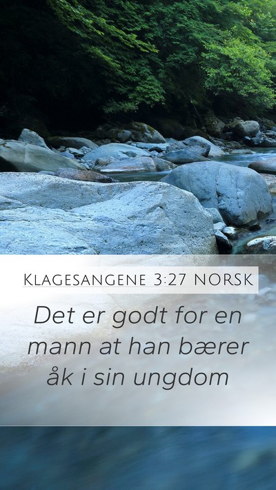 Klagesangene 3:27 NORSK Bible Verse Image