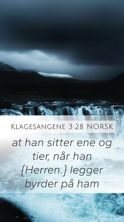 Klagesangene 3:28 NORSK Bible Verse Image